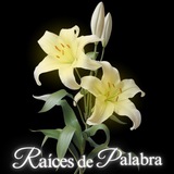 RAÍDEPAL ASOCIACIÓN