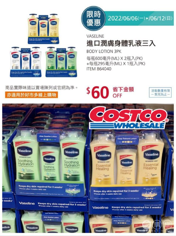 優惠情報連結 