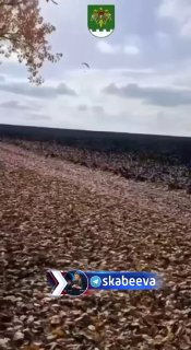 גברים אוקראינים לא רק בורחים ברגל או שוחים, אלא גם עפים. תושב מחוז חמלניצקי חצה בהצלחה למולדובה בדרך האוויר…