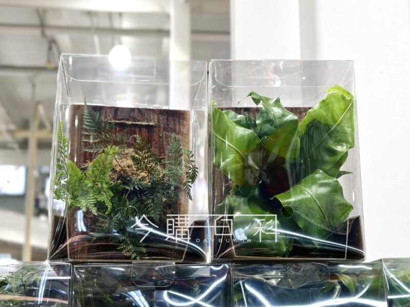 新品情報看這裡 