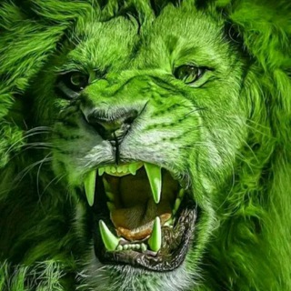 HOLLYWOOD HINDI DUBBED HD MOVIES Telegram Group Link