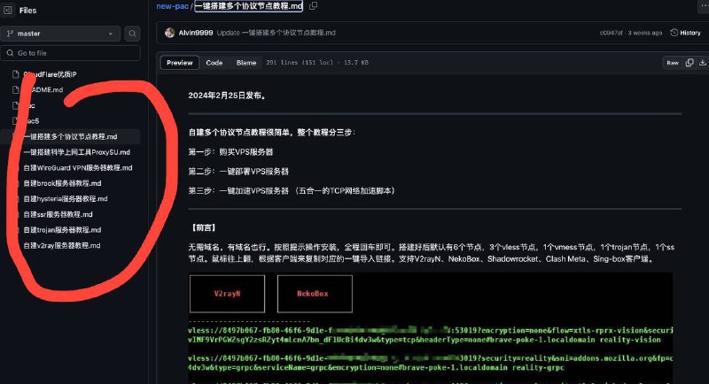 如何搭建属于自己的梯子？这个教程帮助你！让你更好的科学上网，vps一键搭建翻墙服务器脚本，涵盖ssr，trojan，v2ray，hysteria等搭建教程
