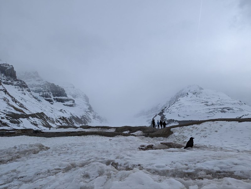 洛磯山脈Banff & Jasper洛磯山脈Banff & Jasper