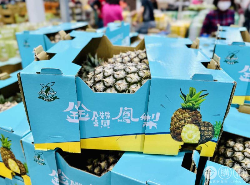 完整情報 
