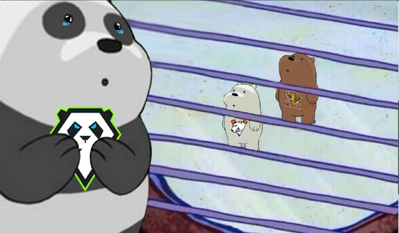 非常难绷9Pandas由于签证问题无法集齐队员导致错失此次major，目前队伍名额由GamerLegion替补参赛