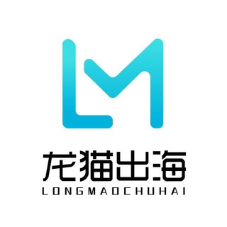 龙猫出海 - 国际项目交流群