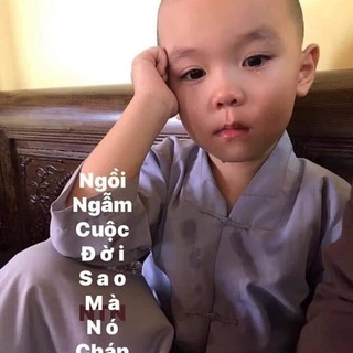 Một bước lên bờ