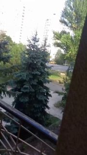 t.me