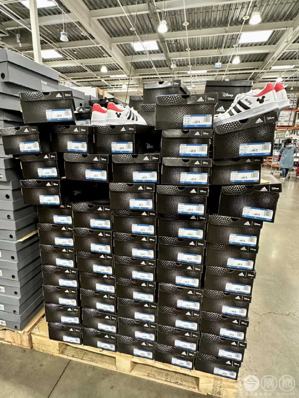 完整情報 