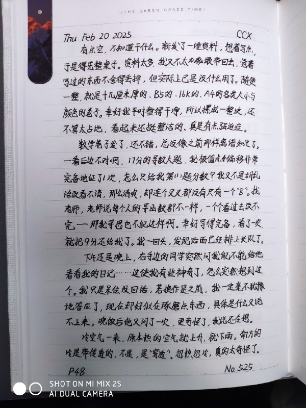 媒体预览
