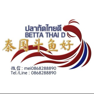 Betta​ Thai​ D​ 阿妹泰国斗鱼好