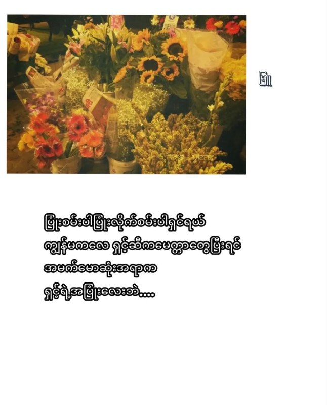 ™ စာအုပ်စာပေ • စာကြည့်တိုက်📚 နှင့် 𝑻𝒆𝒍𝒆𝒈𝒓𝒂𝒎 𝑷𝒓𝒆𝒎𝒊𝒖𝒎 𝑬𝒎𝒐𝒋𝒊: # မြူ# မြူ