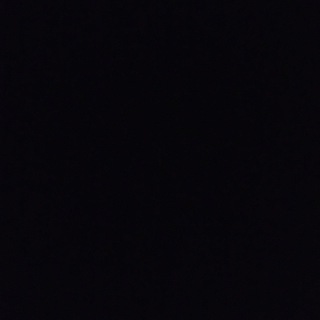 鳳德公海 Telegram Group Link