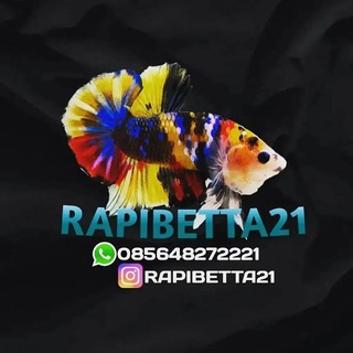 Rapibetta21