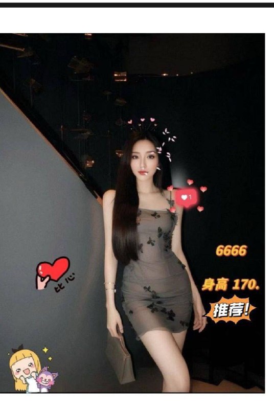 明星队伍明星队伍