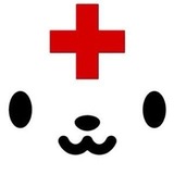 Medical Record