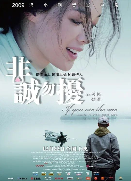 名称：非诚勿扰 (2008) 4K