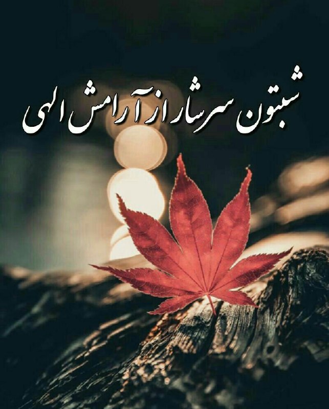 ❤️ حریم عشق ❤: آرزو دارم ناخواسته به دست آریدآنچه را که بیصدااز قلبتان گذر کرده است...شبتون غرق در آرامش♥️🌹🙏