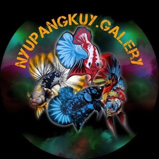 Nyupangkuy.galery