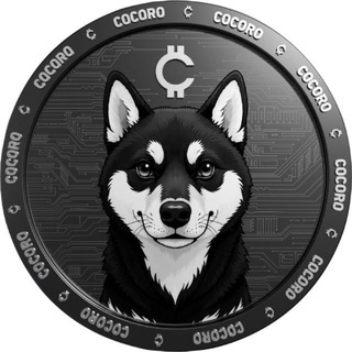 Cocoro Chinese 🇨🇳 可可罗