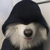 Мишка от Snowfall