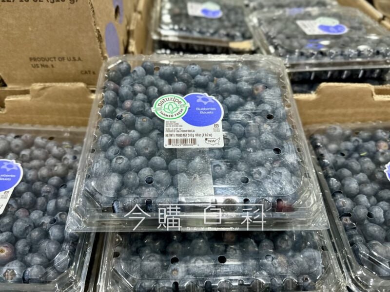 新品情報連結 