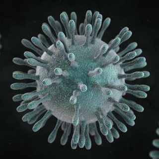 Telegram profile photo for PH Coronavirus Updates 🇵🇭