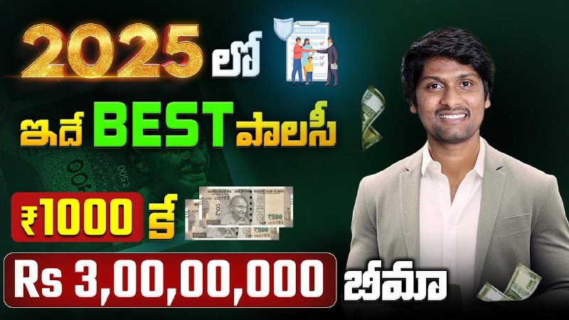 🎯