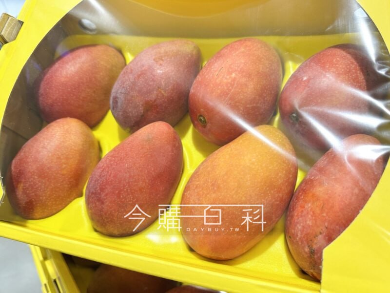 新品情報看這邊 