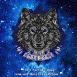 PARTNERSHIP GALAXTOR