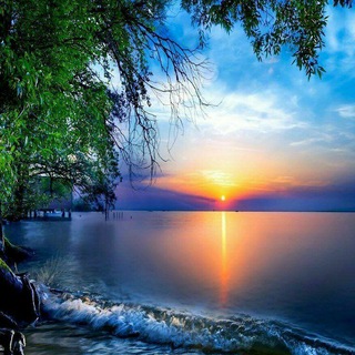 Hindi, punjabi, dubbed, Hollywood, all Movies💻 Telegram Group Link