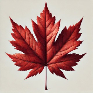 CANADA CAREGIVER UPDATES Telegram Group Link