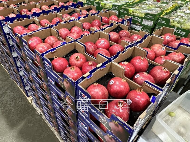 優惠情報連結 