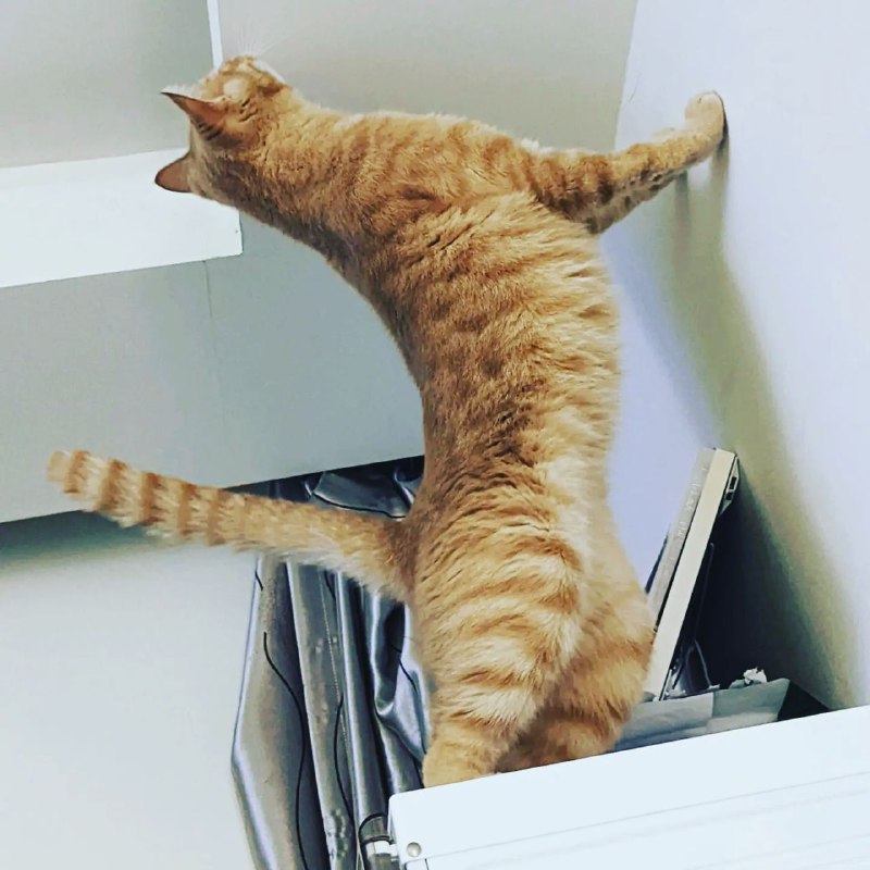 家里灯不亮了，替爸爸爬上来检查一下看看…