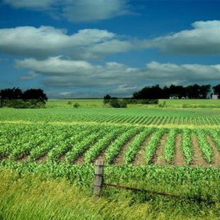 TN -Agriculture Land Sale Telegram Group Link