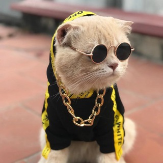 Jayanth Official - HD WHATSAPP STATUS || WHATSAPP STATUS | TELUGU WHATSAPP STATUS Telegram Group Link