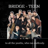 BRIDGE - TEEN PARTNERSHIP