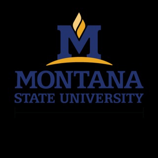 Montana State University Telegram Group Link