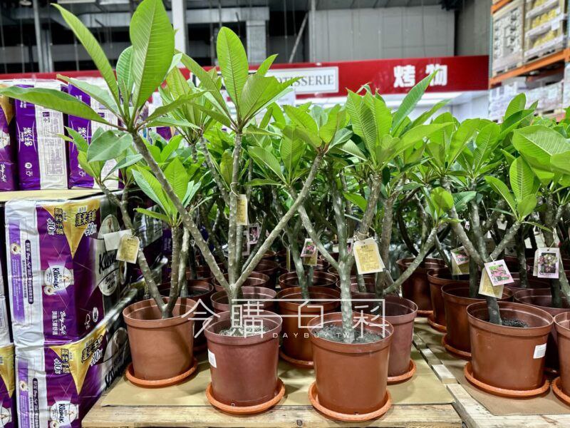 新品情報看這邊 