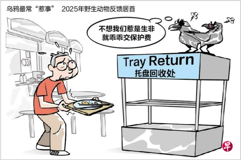 更多漫画：