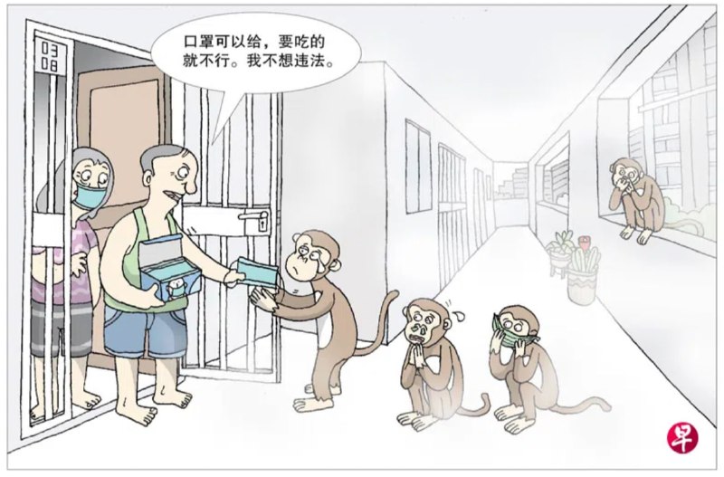 更多漫画：