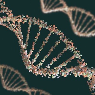 Genetics and Molecular Biology Telegram Group Link