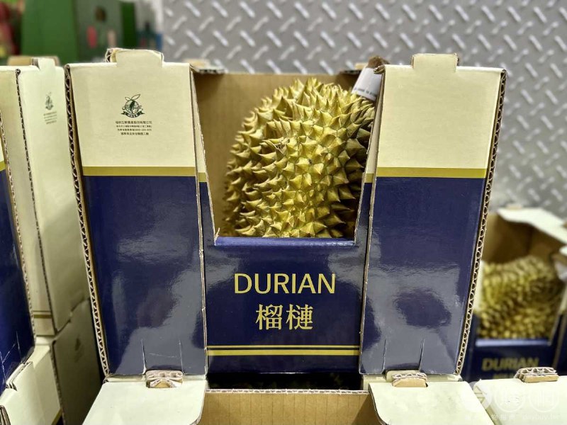 新品完整情報 