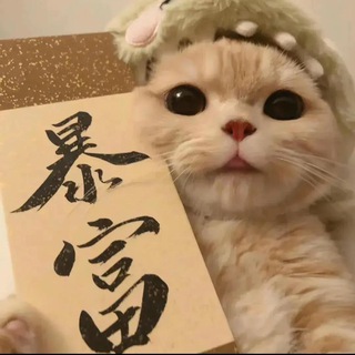 资源圈 - 广告位 渠道 招商⑤