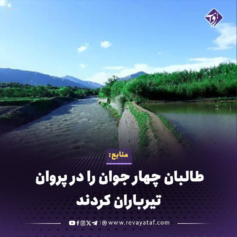 روایت revayataf: ▪️ منابع محلی در پروان می‌گویند نیروهای طالبان چهار جوان را در روستای «چنکی» از مربوطات ولسوالی سیدخیل این ولایت تیربارا