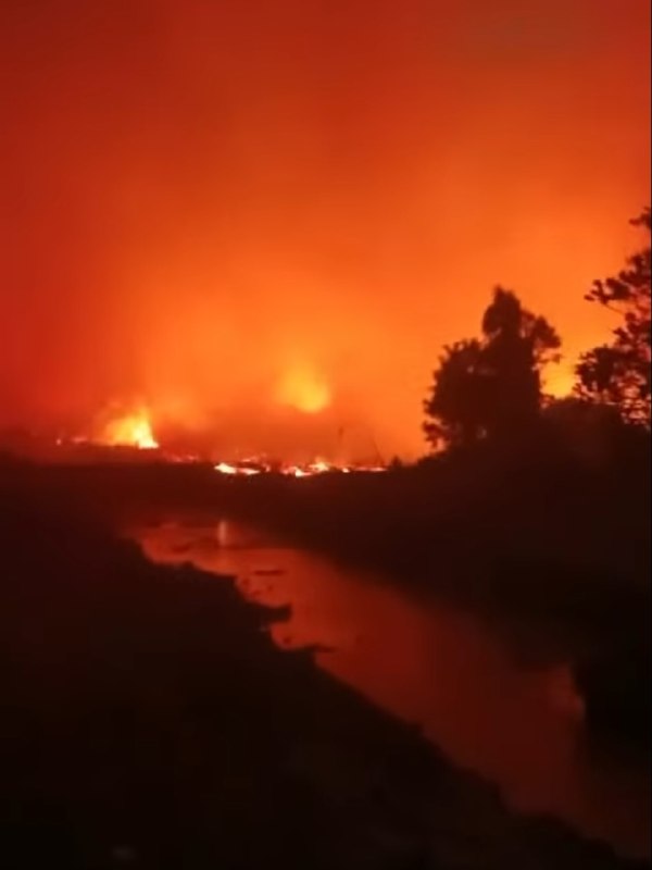 Huge wildfire is burning in Batu Mahasur, Central Kalimantan, Indonesia 🇮🇩 (03.09.2026)
