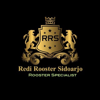 Aseel Plucker Ganoi Petarung (RRS)