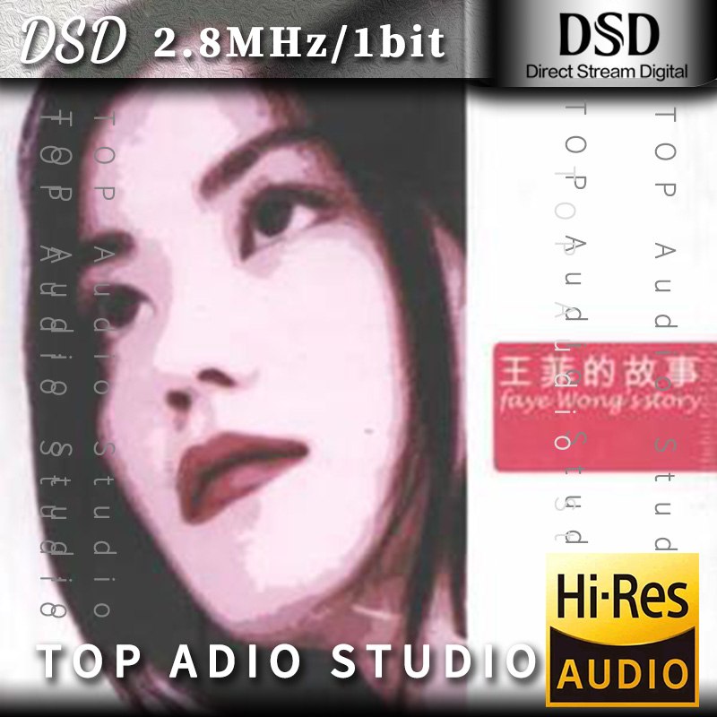 王菲的故事 dsd描述