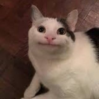 BATTLEGROUND MOBILE INDIA BGMI PUBG GL KR VNG TW CONFIG PAK FILES WHITE BODY NO GRASS IPAD VIEW NO RECOIL NO SHAKE 90FPS CONFIG Telegram Group Link