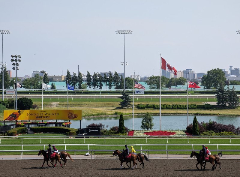 已看垮過一家澳門馬會，Who's next?